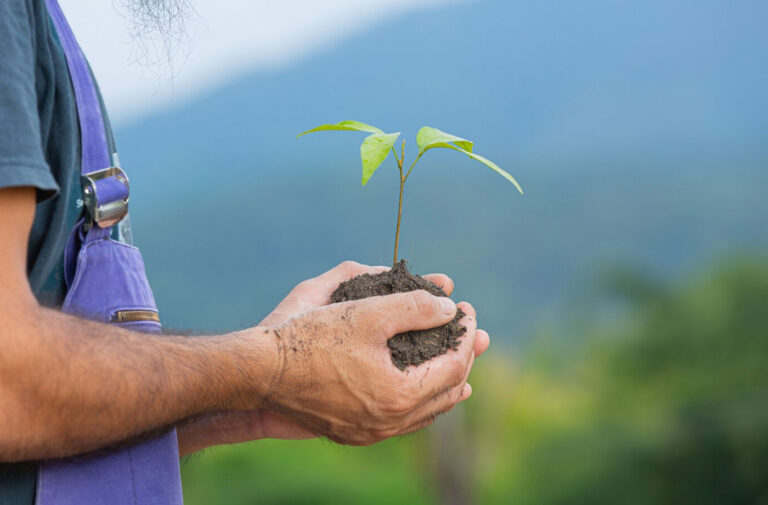 7 Steps to Create a Complete Marketing Strategy this Year 7 7 Steps to Create a Complete Marketing Strategy this Year